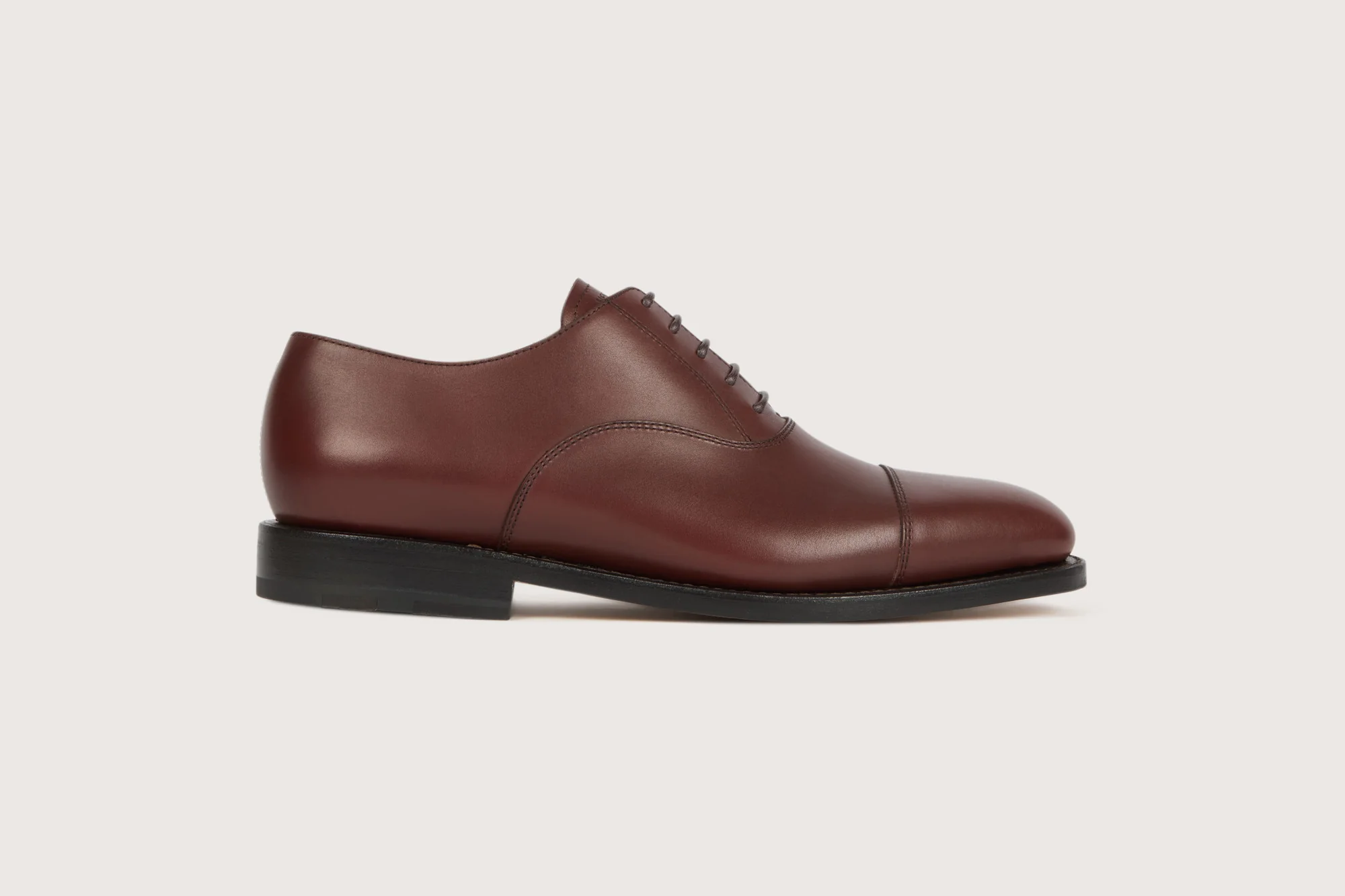 TILLEUL II Softycalf Expresso Cuir - Image 5